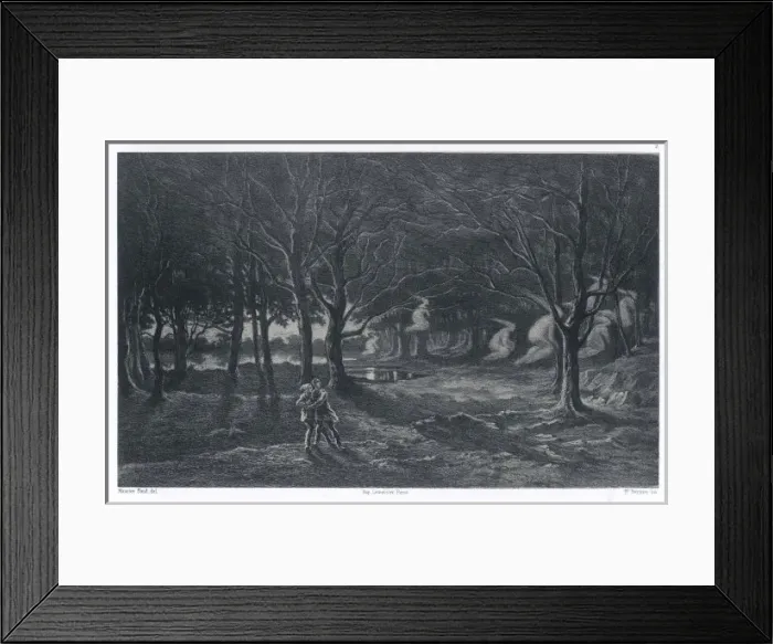 Framed Print : Apparitions / Demoiselles Framed Print : Apparitions / Demoiselles
