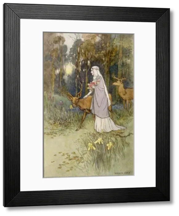 Framed Print : Timid Dun Deer & Woman Framed Print : Timid Dun Deer & Woman