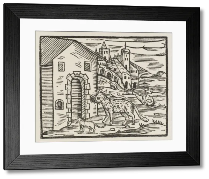 Framed Print : Changing into Animals Framed Print : Changing into Animals