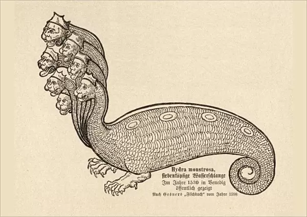 Sea Serpent Hydra. The seven-headed HYDRA seen at Venezia (Venice) in 1530 Date: 1530