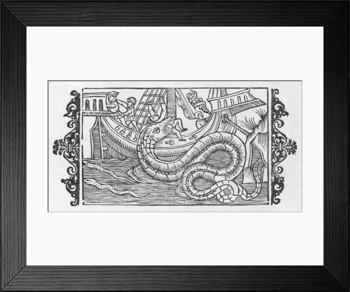 Framed Print : Sea Serpent Norway Framed Print : Sea Serpent Norway