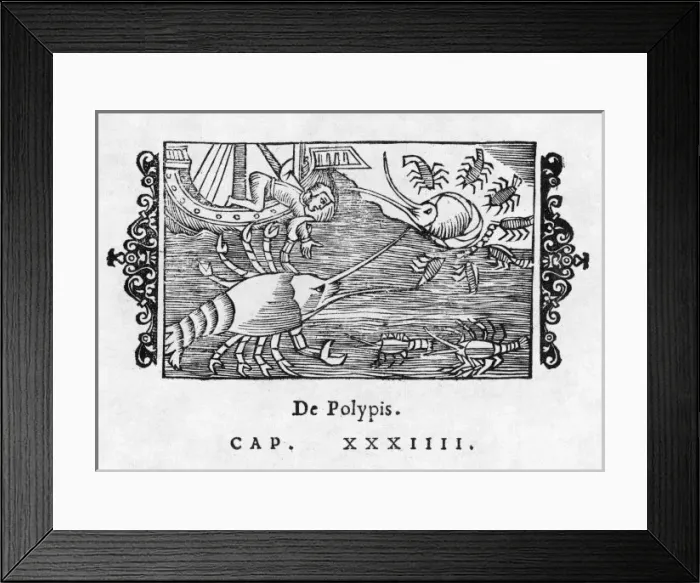 Framed Print : Sea Serpent Norway Framed Print : Sea Serpent Norway