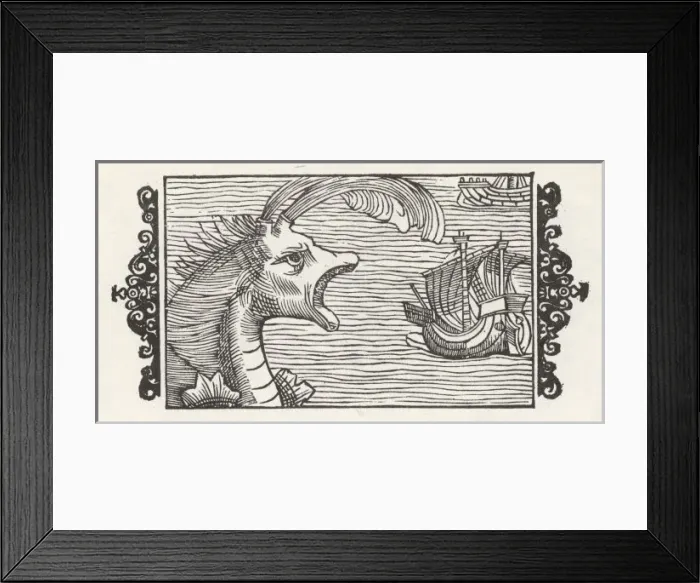 Framed Print : Sea Serpent Norway Framed Print : Sea Serpent Norway
