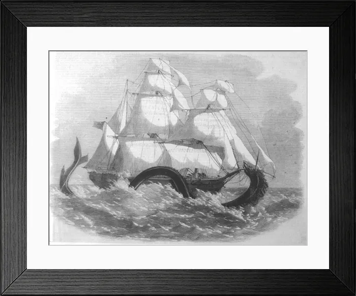 Framed Print : British Banner Serpent Framed Print : British Banner Serpent