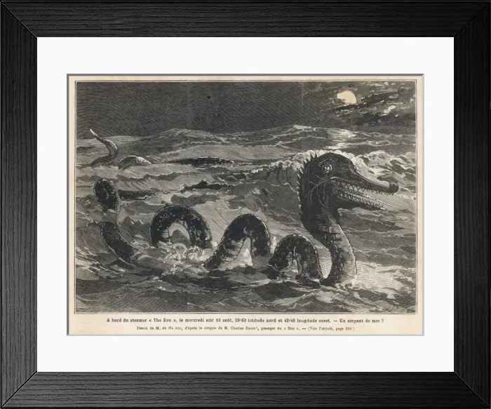 Framed Print : Don Sea Serpent Framed Print : Don Sea Serpent