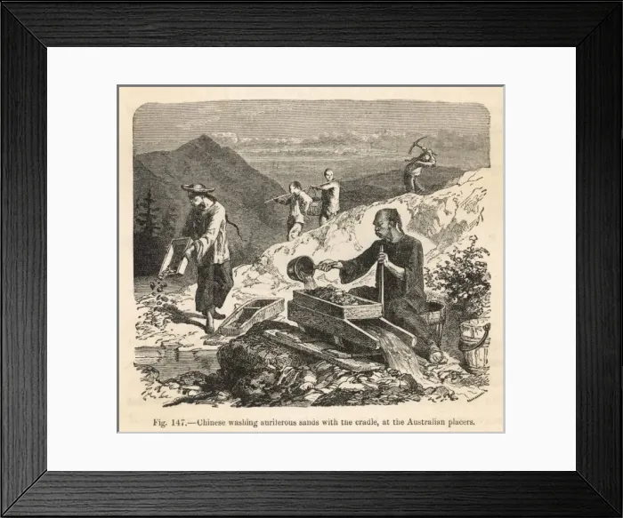 Framed Print : Gold / Australia Framed Print : Gold / Australia