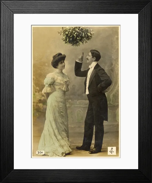 Framed Print : Mistletoe Lecture Framed Print : Mistletoe Lecture