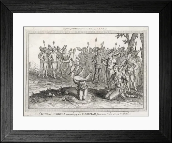 Framed Print : Florida Sorcerer Framed Print : Florida Sorcerer