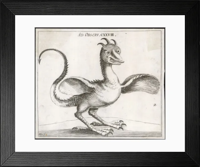 Framed Print : Folklore / Basilisk Framed Print : Folklore / Basilisk