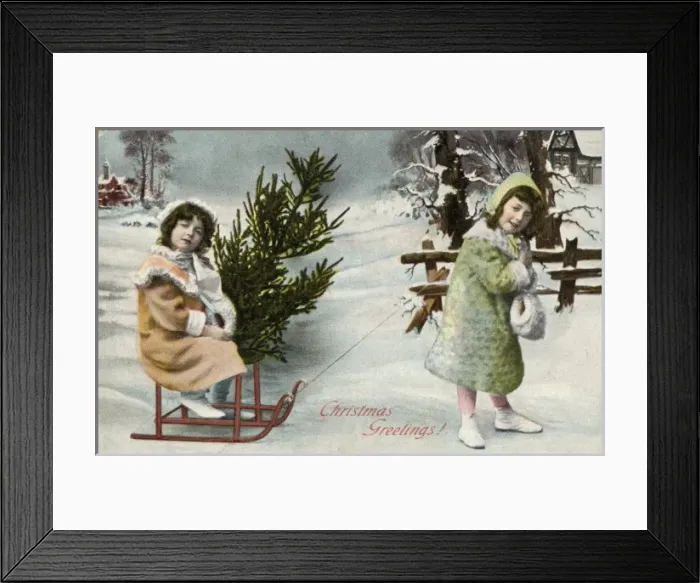 Framed Print : Fetching Tree on Sledge Framed Print : Fetching Tree on Sledge
