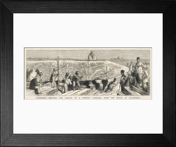 Framed Print : Needle Ready to Travel Framed Print : Needle Ready to Travel