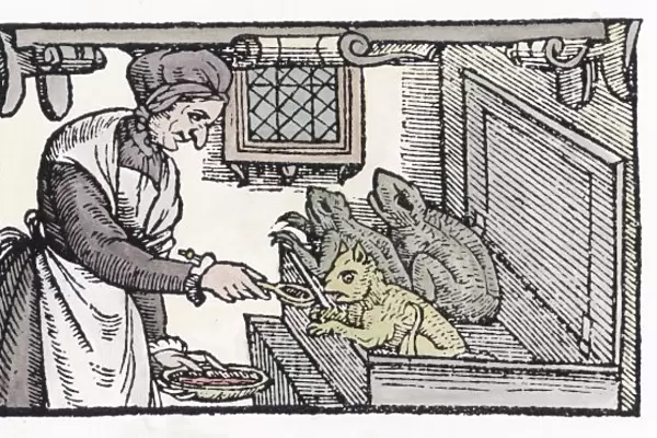 Witch Feeds Familiars