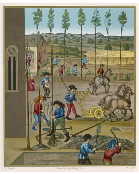 Farming 15th Century