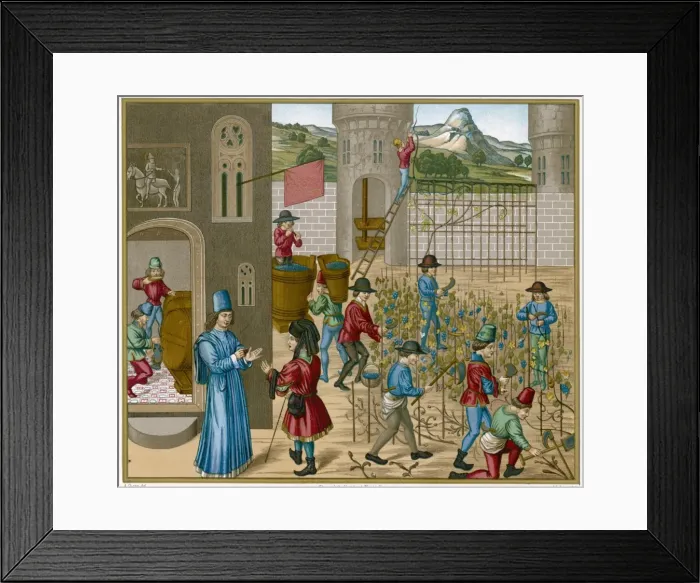 Framed Print : Wine at French Chateau Framed Print : Wine at French Chateau