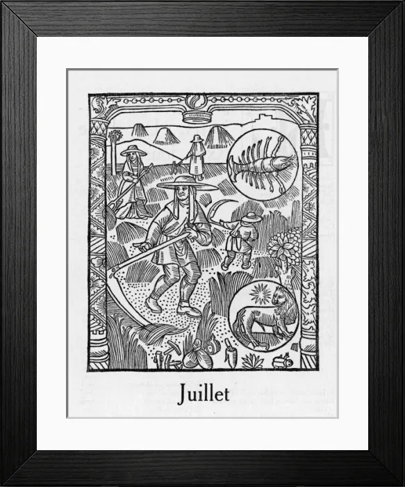 Framed Print : Month / July Framed Print : Month / July