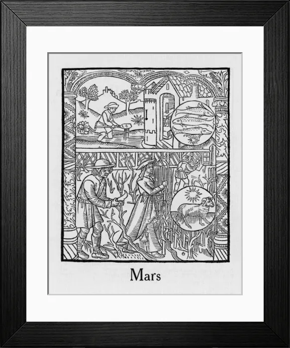 Framed Print : Month / March Framed Print : Month / March
