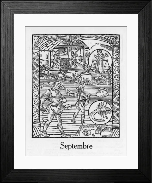 Framed Print : Month / September Framed Print : Month / September