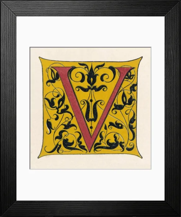 Framed Print : Alphabet Letters / Shaw / V Framed Print : Alphabet Letters / Shaw / V