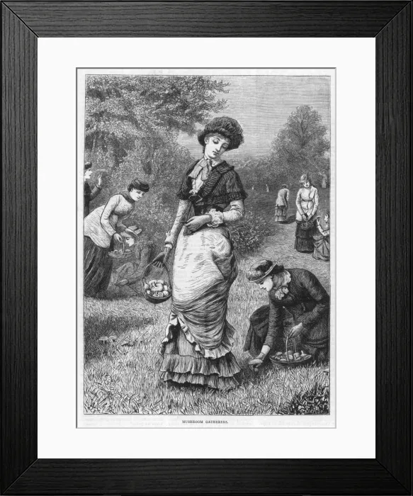 Framed Print : Gathering Mushrooms 1886 Framed Print : Gathering Mushrooms 1886