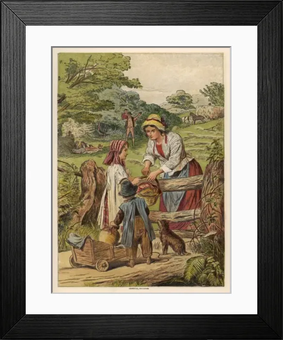 Framed Print : Midday Meal Framed Print : Midday Meal