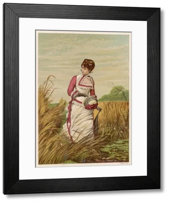 Framed Print : In the Cornfields 1881 Framed Print : In the Cornfields 1881