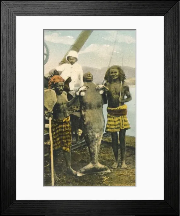Framed Print : Mer-People / Look-Alikes Framed Print : Mer-People / Look-Alikes