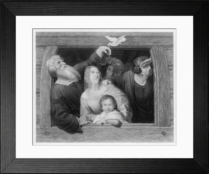 Framed Print : Return of the Dove Framed Print : Return of the Dove