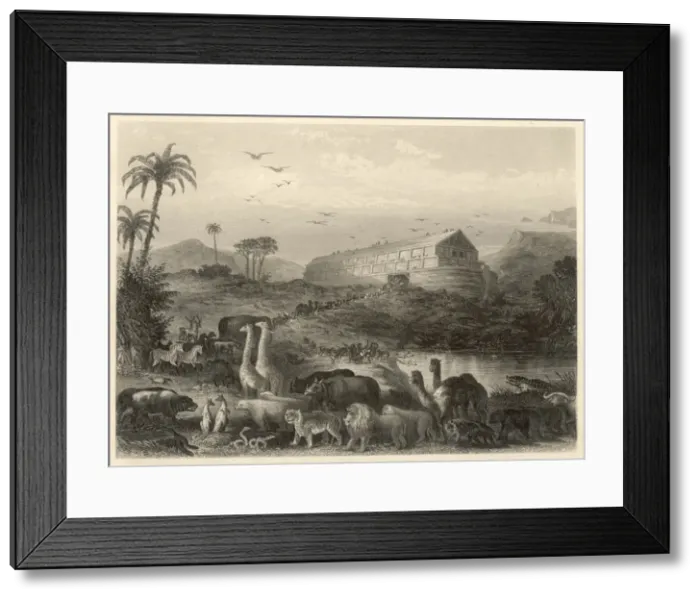 Framed Print : Animals Enter the Ark Framed Print : Animals Enter the Ark