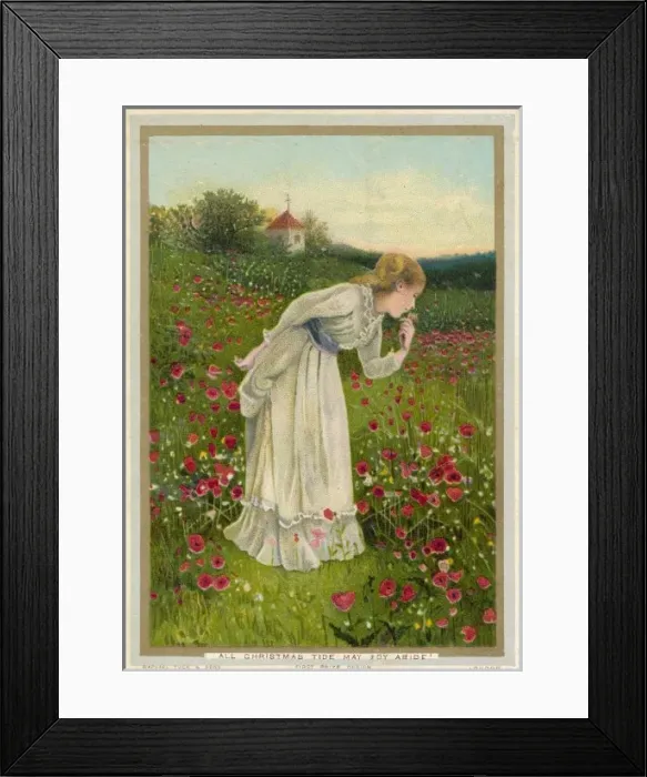Framed Print : Poppy Field Framed Print : Poppy Field