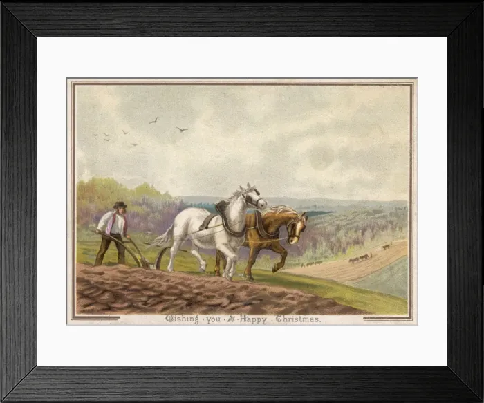 Framed Print : Ploughing with Horses Framed Print : Ploughing with Horses