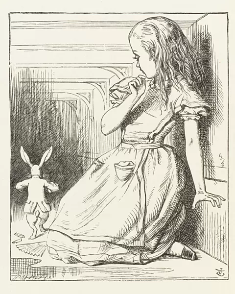 Alice Watches Rabbit