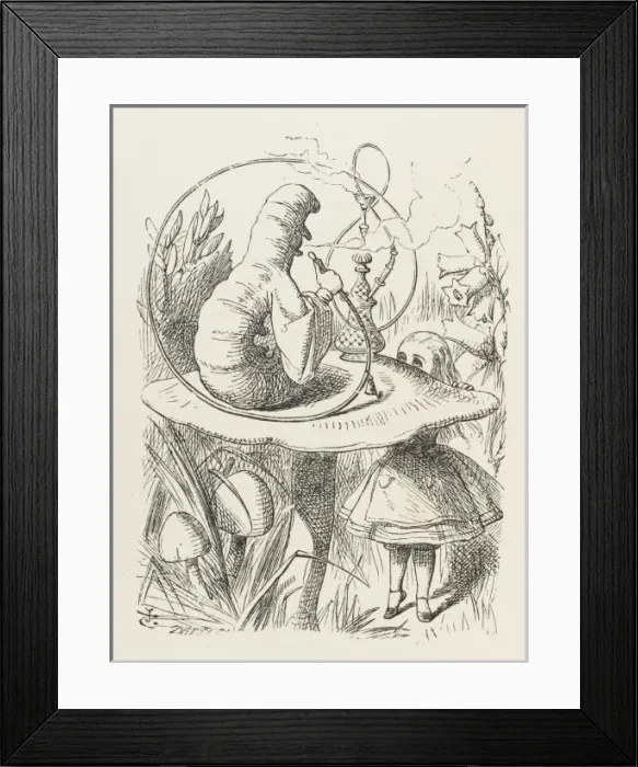 Framed Print : Alice & the Caterpillar