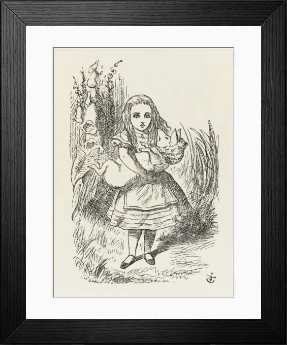 Framed Print : Alice / The Pig-Baby Framed Print : Alice / The Pig-Baby