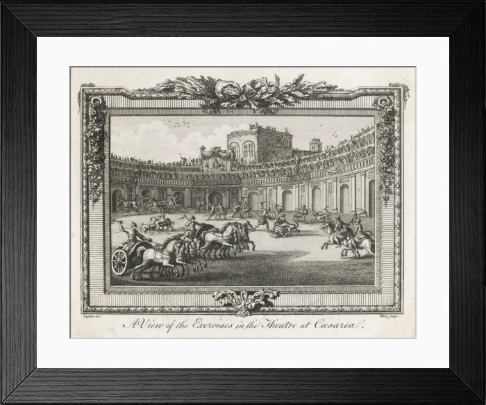 Framed Print : Gladiators (White) Framed Print : Gladiators (White)