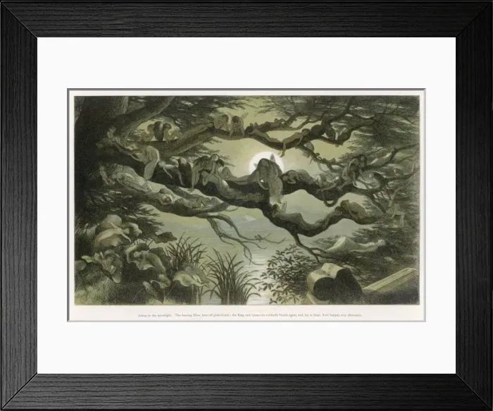 Framed Print : Asleep in Moonlight Framed Print : Asleep in Moonlight