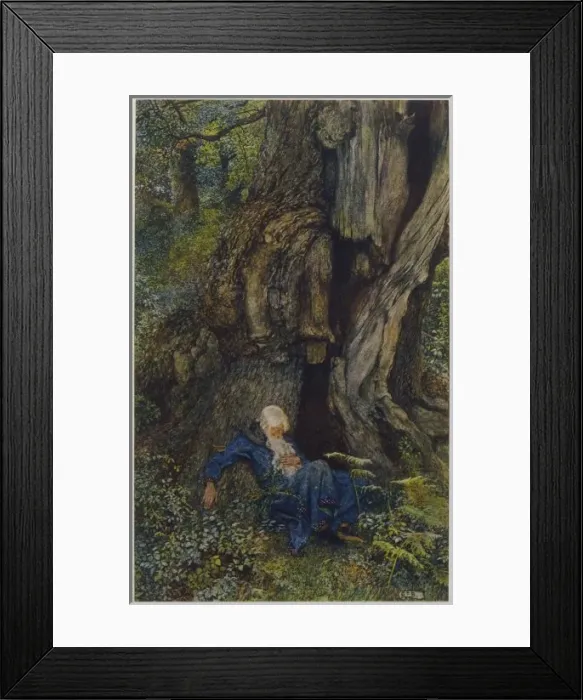 Framed Print : Merlin Forsaken Framed Print : Merlin Forsaken