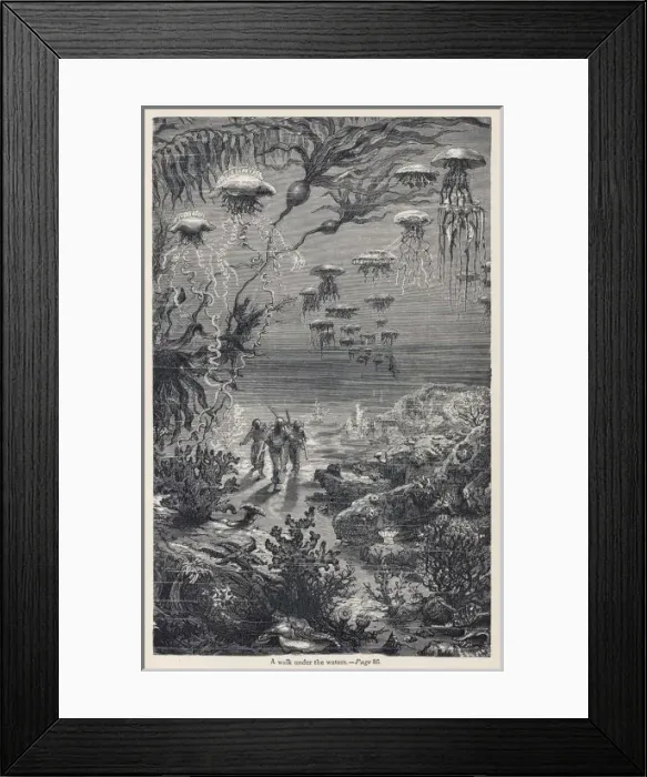 Framed Print : Verne / Under the Sea Framed Print : Verne / Under the Sea