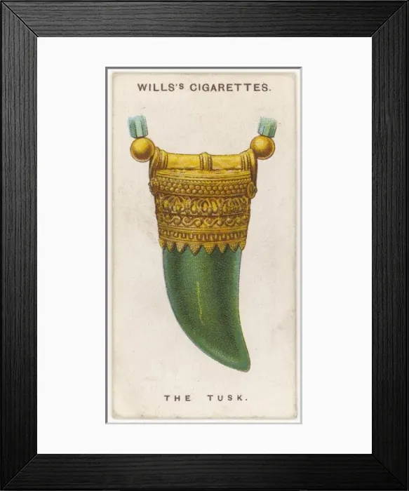 Framed Print : Tusk Talisman Framed Print : Tusk Talisman