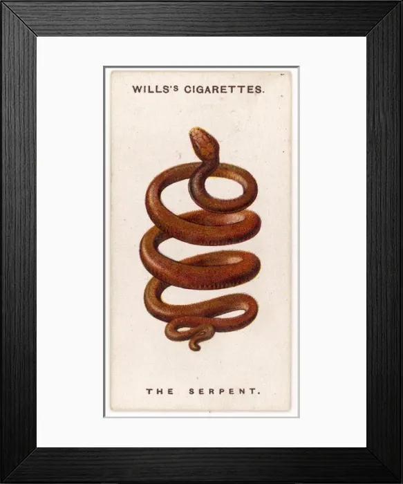 Framed Print : Serpent Talisman Framed Print : Serpent Talisman