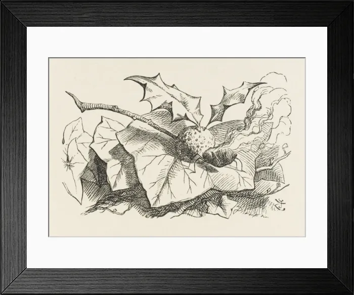 Framed Print : Alice / Snap-Dragon-Fly Framed Print : Alice / Snap-Dragon-Fly