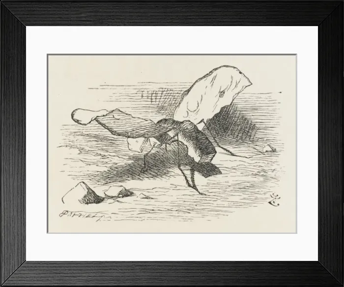 Framed Print : Alice  /  Bread & Butter Fly