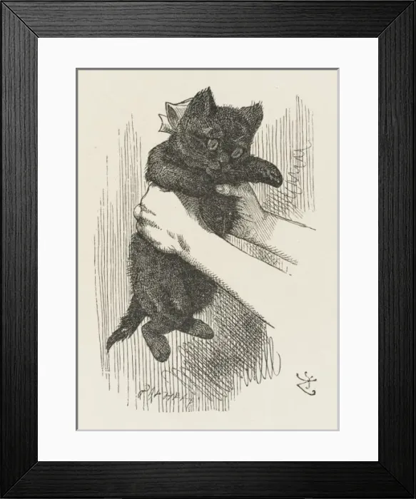 Framed Print : Alice Shakes Kitten Framed Print : Alice Shakes Kitten