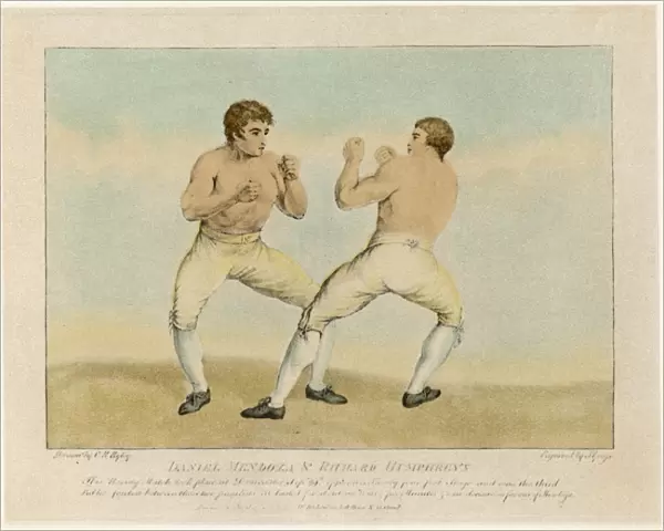 Boxing  /  Mendoza V Humphry