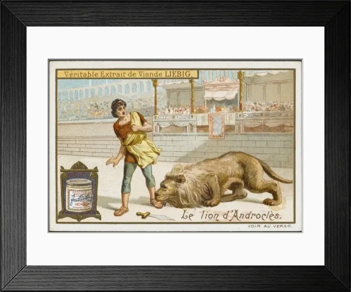 Framed Print : Androcles & Lion Framed Print : Androcles & Lion