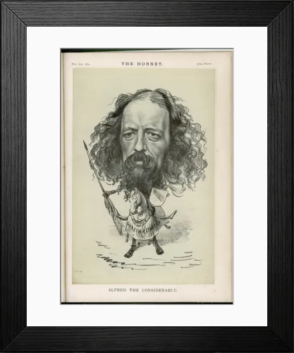 Framed Print : Tennyson (Hornet) Framed Print : Tennyson (Hornet)