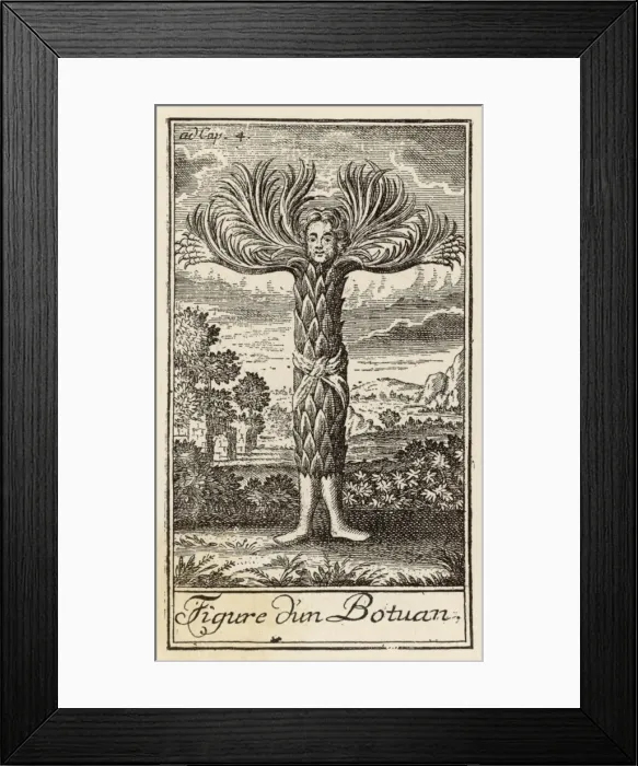 Framed Print : TREE-MAN. A Tree-Man from a subterranean planet Framed Print : TREE-MAN. A Tree-Man from a subterranean planet
