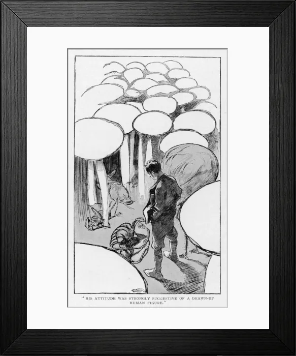 Framed Print : First on Moon / Vegetation Framed Print : First on Moon / Vegetation