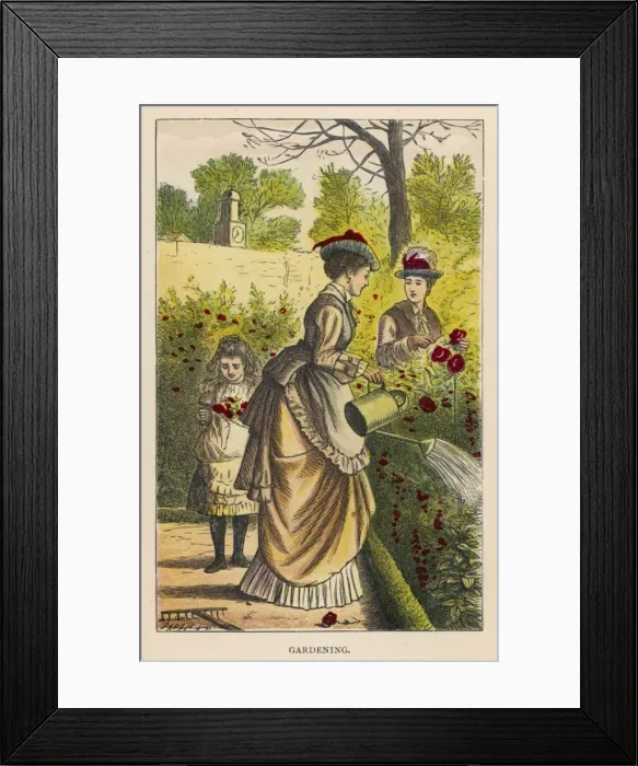 Framed Print : Lady Waters the Roses Framed Print : Lady Waters the Roses