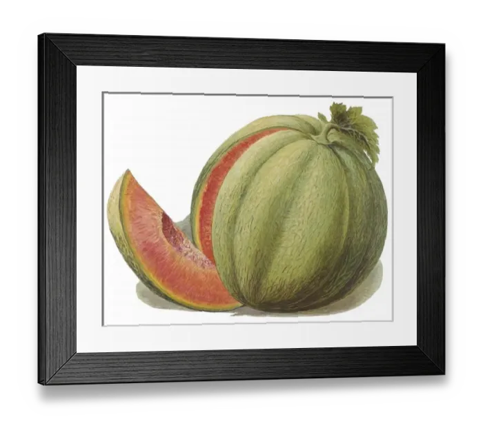 Framed Print : Melon with Slice Removed Framed Print : Melon with Slice Removed