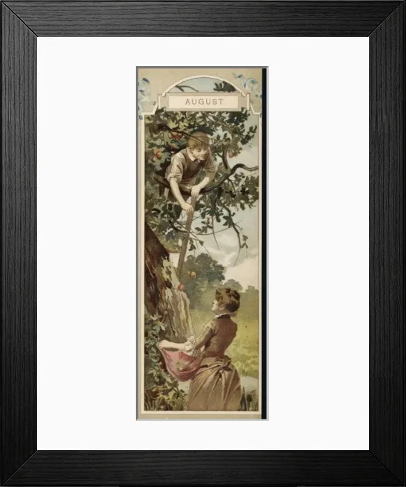Framed Print : Picking Apples 1886 Framed Print : Picking Apples 1886